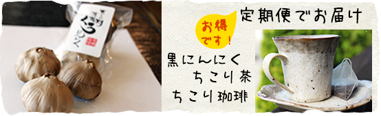 定期便 黒にんにく ちこり茶 ちこり珈琲