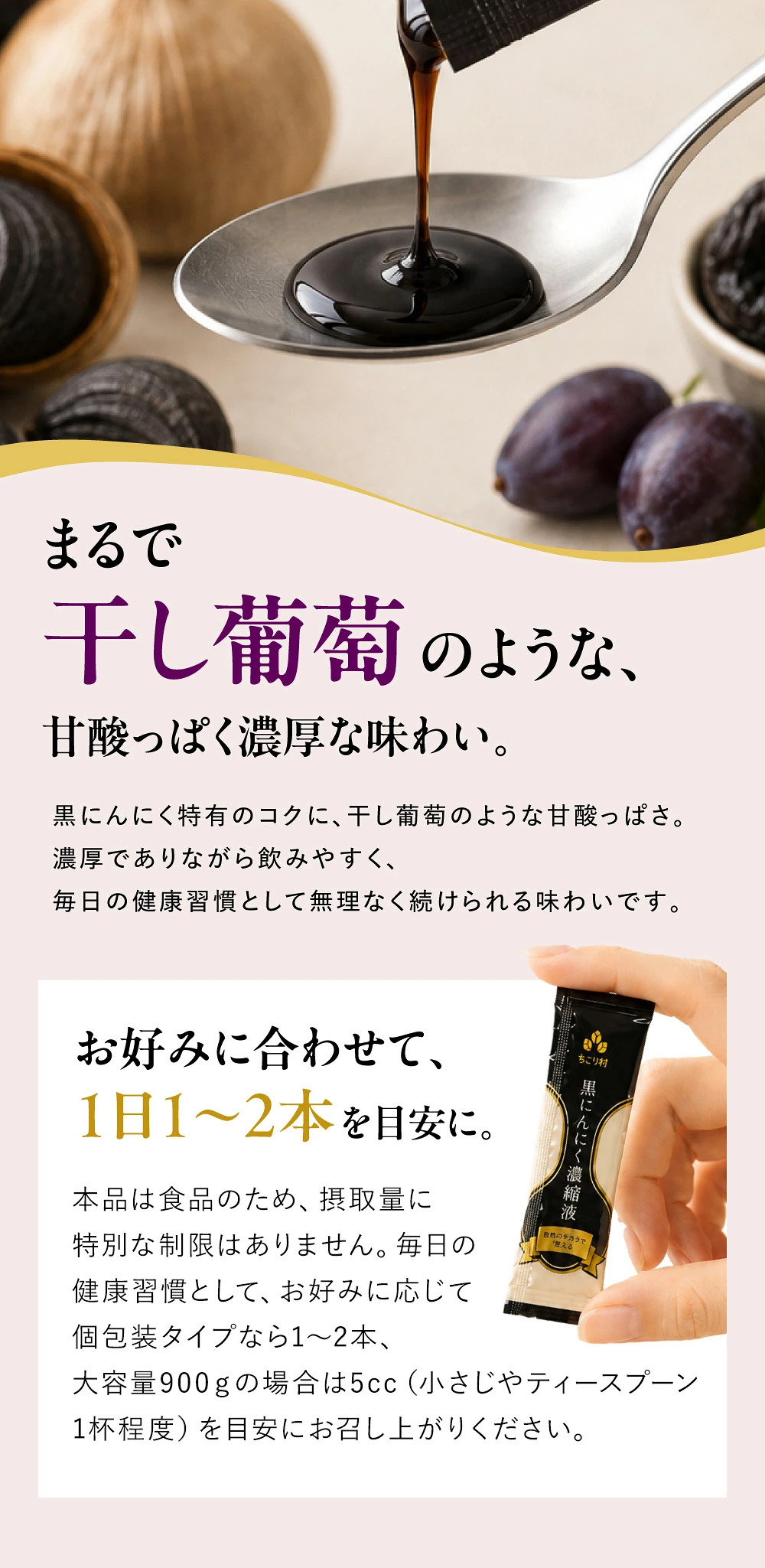 ちこり村BIOKUROSTICKまるで干しブドウのような甘酸っぱく濃厚な味わい