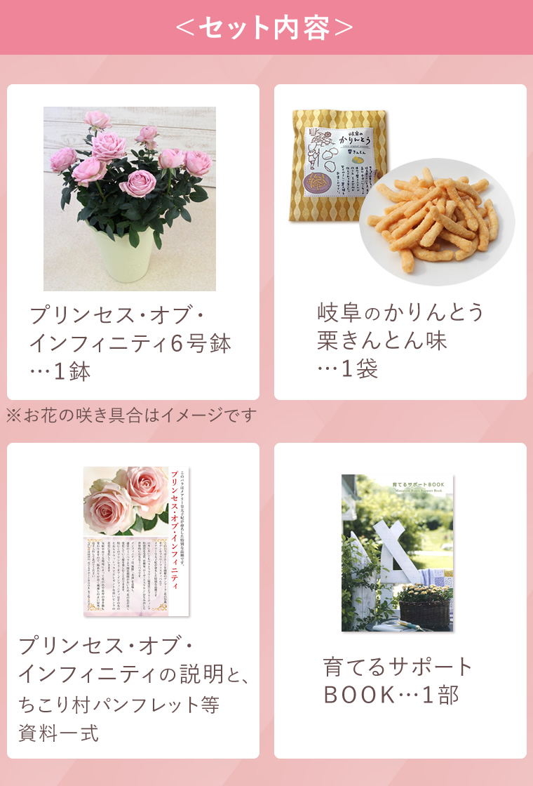 セット内容
