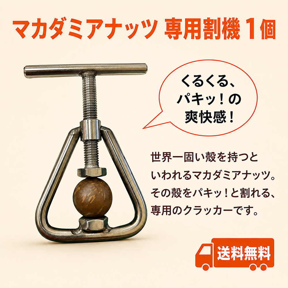 割り方の紙もついてます
