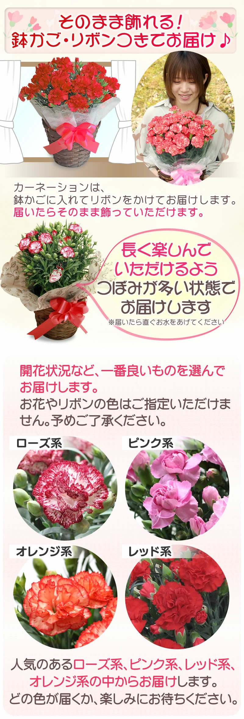 底面給水プランターで根はりの良い