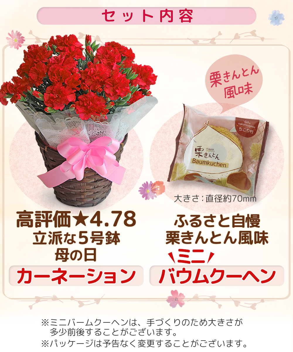 セット内容