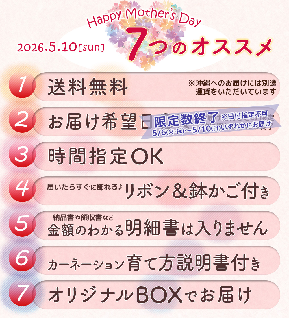 母の日ギフト カーネーション 5号鉢花＆選べるサプライズセット 送料