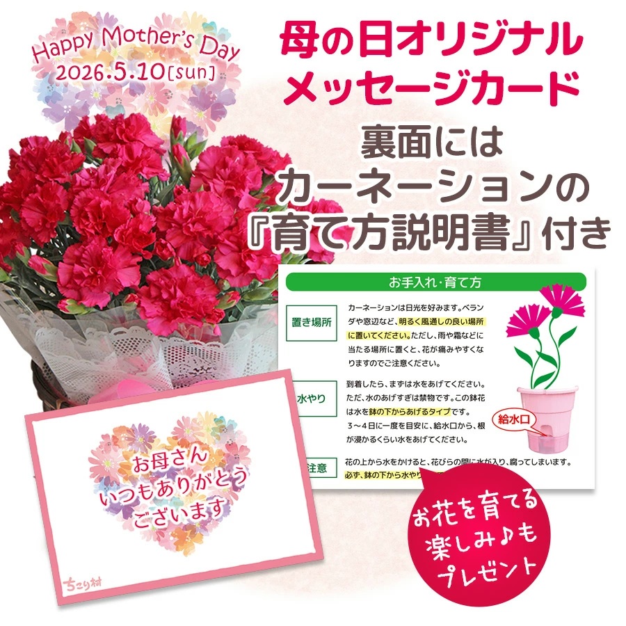 育て方説明書付き