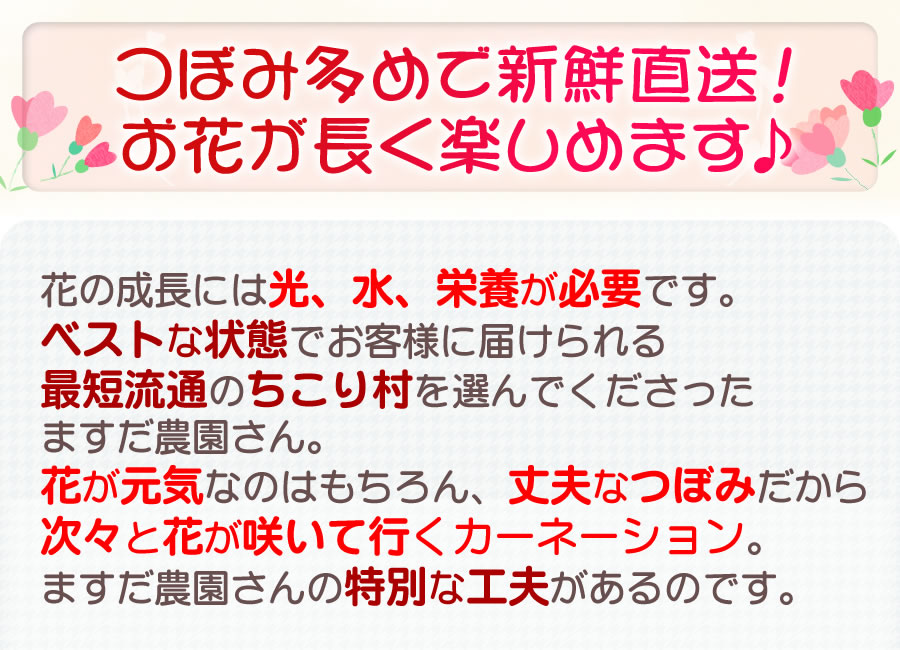 お花が長く楽しめる特別の工夫