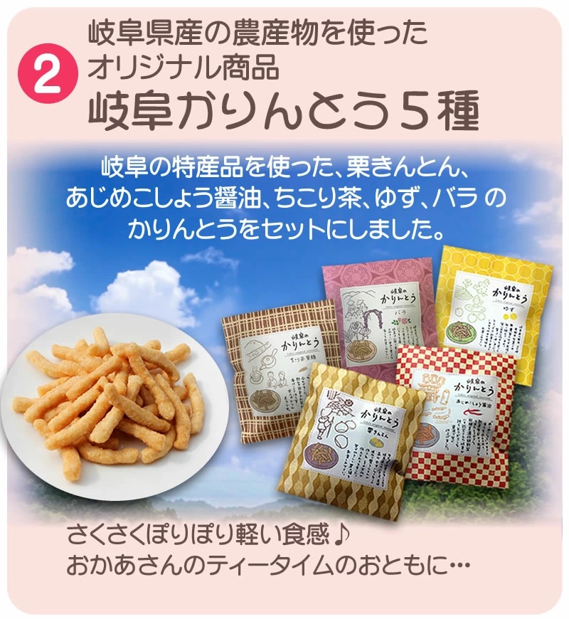 母の日ギフト カーネーション 5号鉢花＆選べるサプライズセット 送料