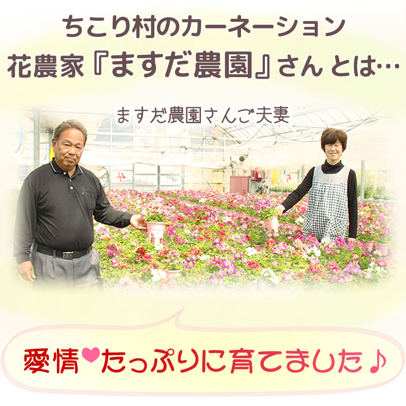 愛情たっぷりに育てました