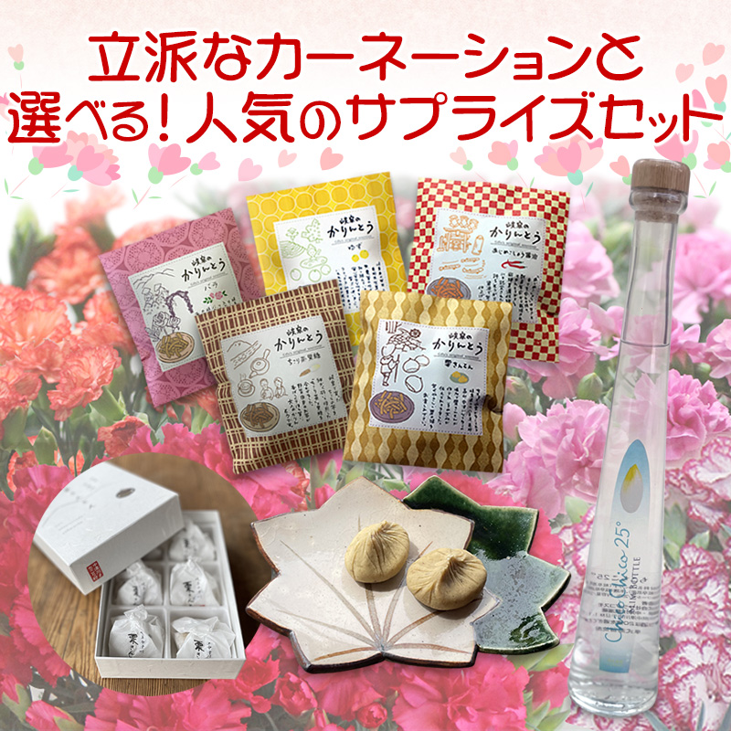 母の日ギフト カーネーション 5号鉢花＆選べるサプライズセット 送料