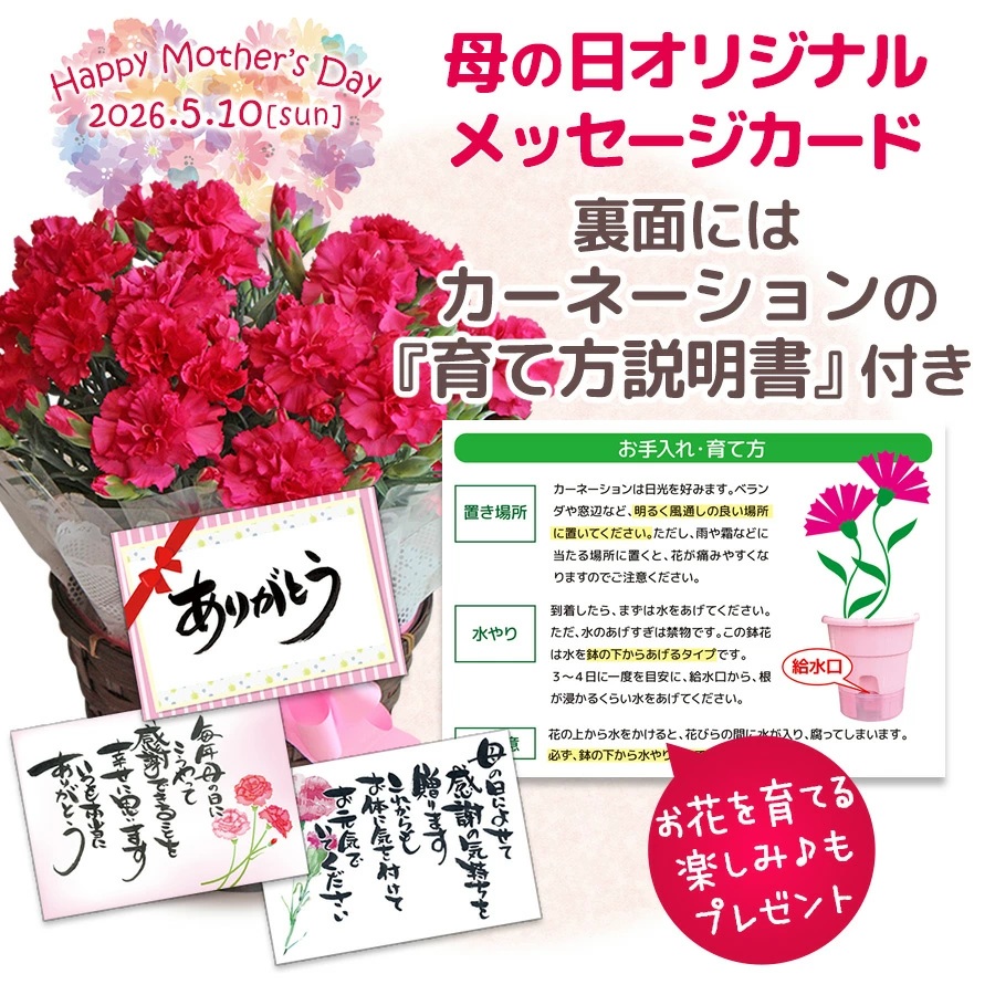 カード裏面には育て方説明書付き