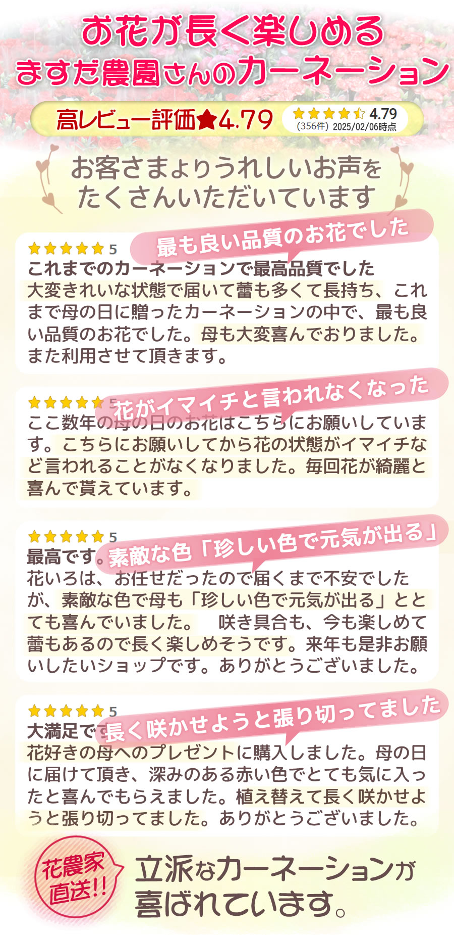 母の日カーネーションと選べるカード