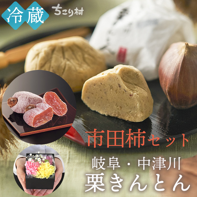 市田柿セット