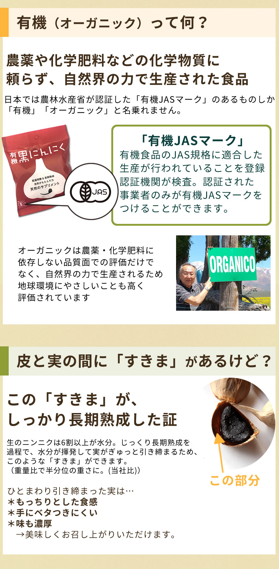 有機 オーガニック・スキ間