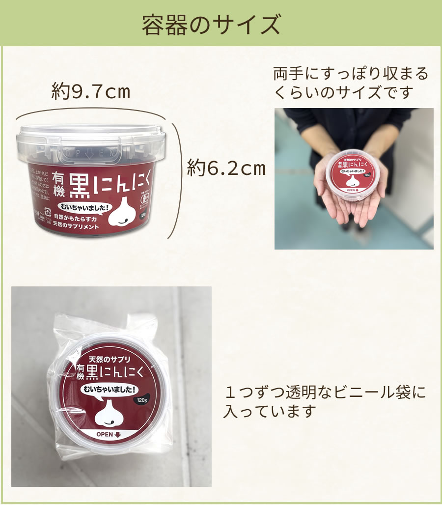容器のサイズ