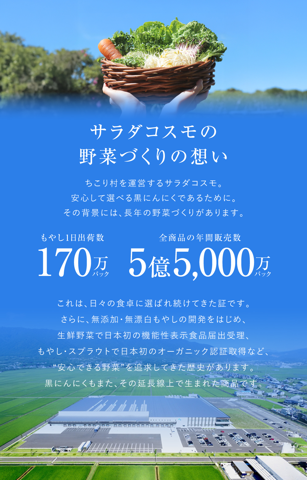 ちこり村の運営会社　サラダコスモの野菜作りの思い