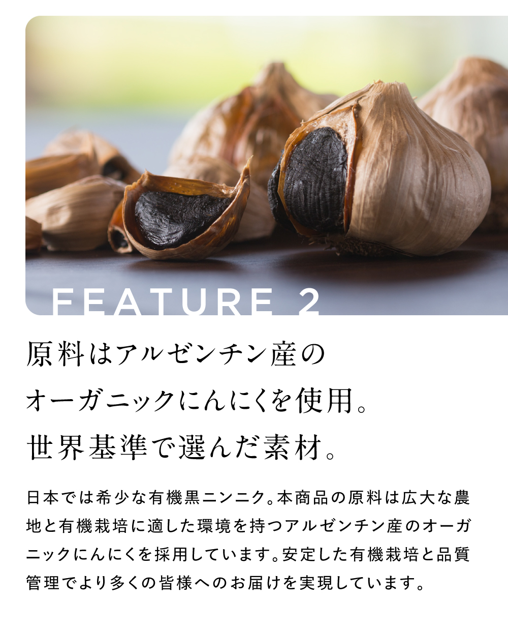 原料はアルゼンチン産のオーガニックにんにくを使用
