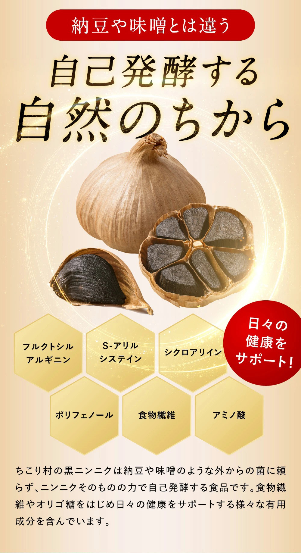 自己発酵する自然のちから