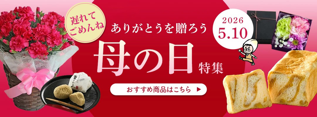 遅れてごめんね5月10日は母の日…ちこり村の母の日ギフト