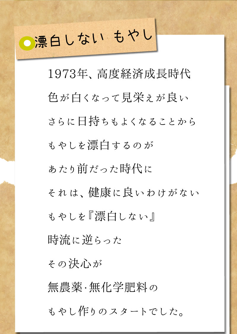 オーガニック大豆もやし