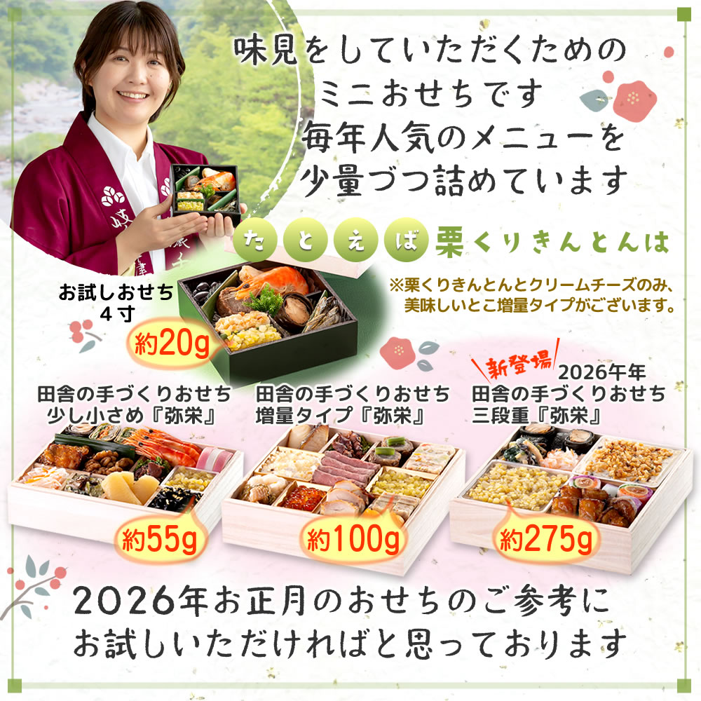 お試しおせち人気メニューを少量づつ詰めました。