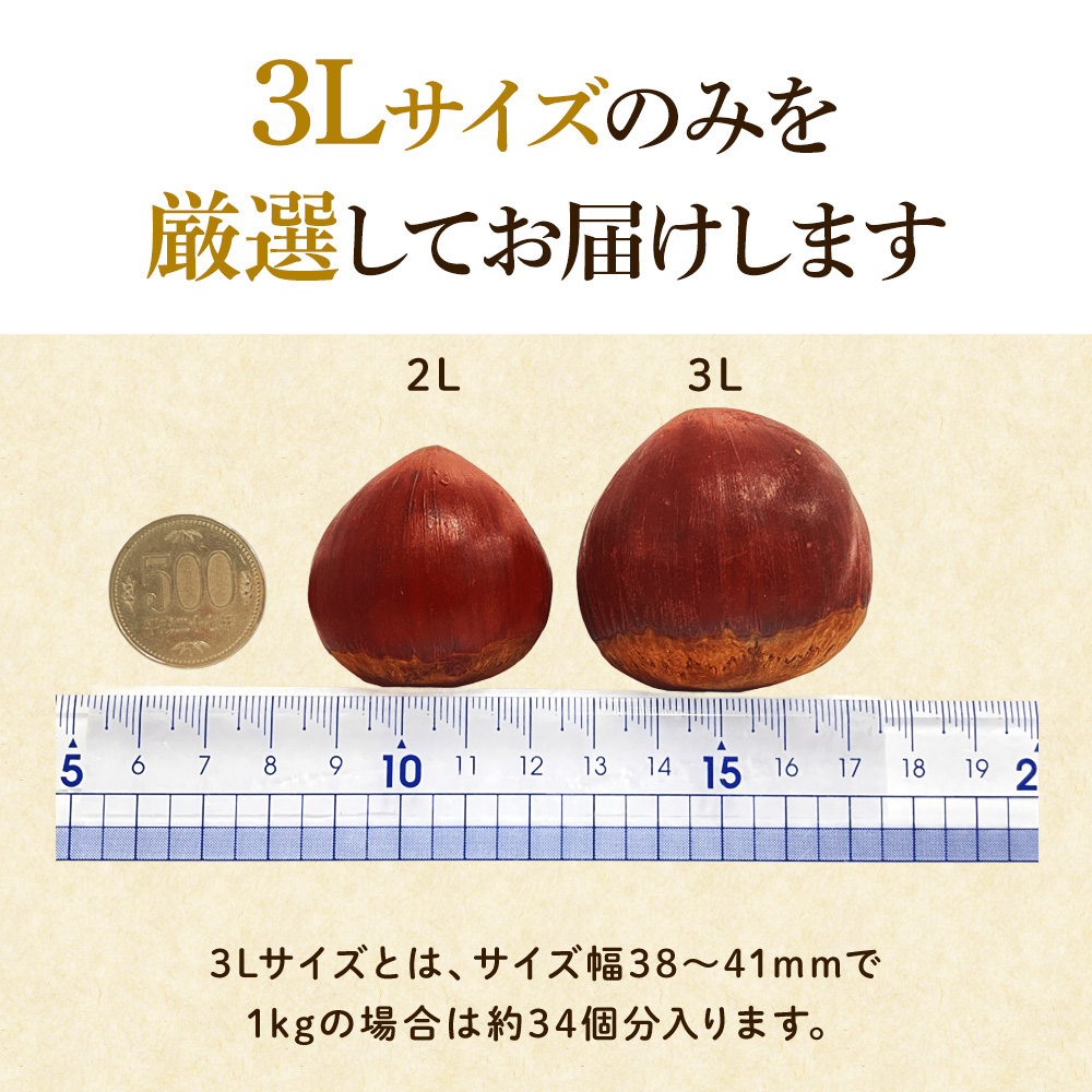 3Lサイズ（サイズ幅38～41mm）のみを厳選してお届け。1kgの場合約34個分入ります