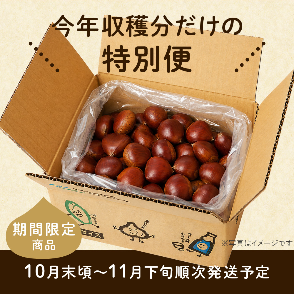 今年収穫分だけの特別便　　【期間限定】10月末頃～11月下旬順次発送予定
