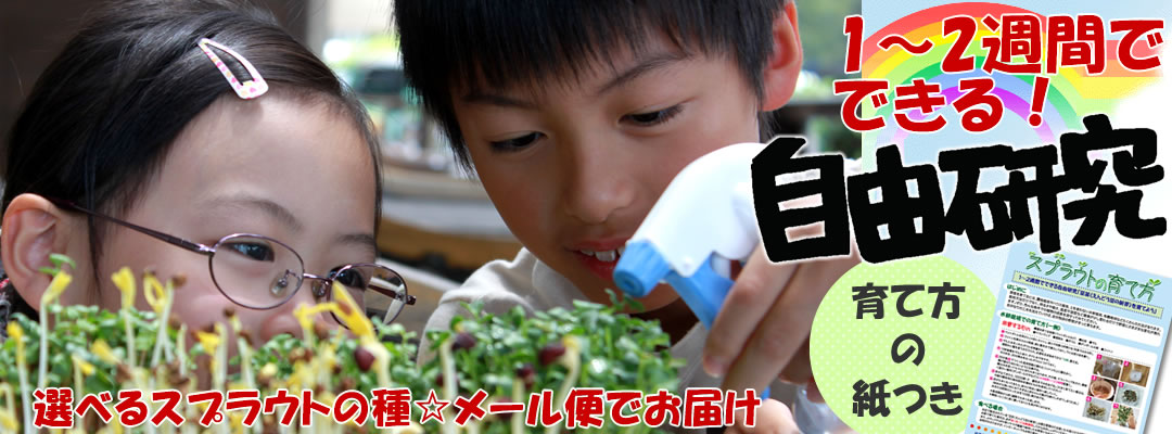 1～2週間でできる！自由研究の種☆9種類から選べます