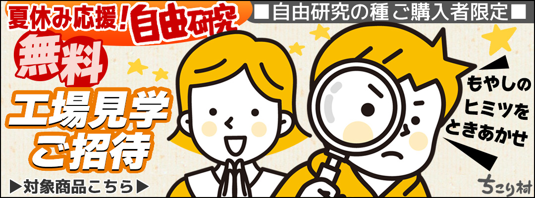 【ご購入者様限定】2026夏休み自由研究　もやし工場見学会開催