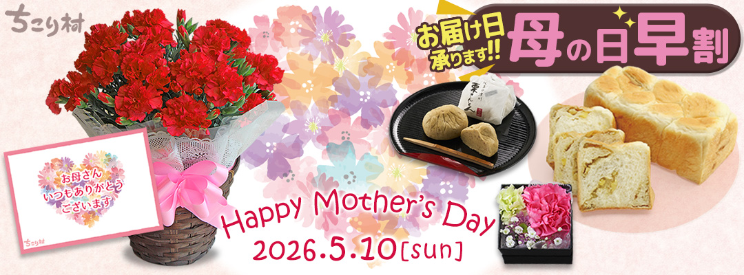 【早割】カーネーションやミニバラなど！ちこり村の母の日