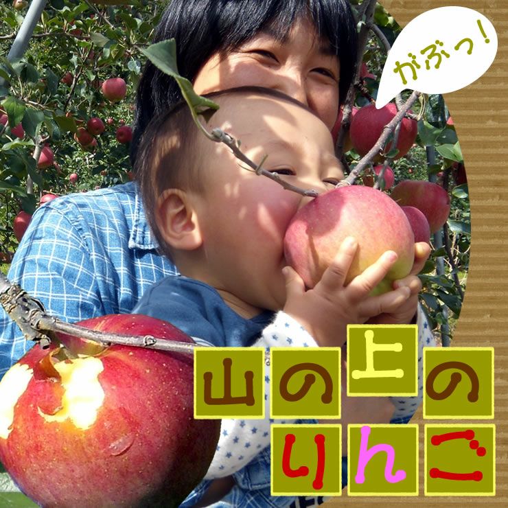 山の上のりんごじゅうす【りんごジュース】1,000ml×2本 | 岐阜・中津川