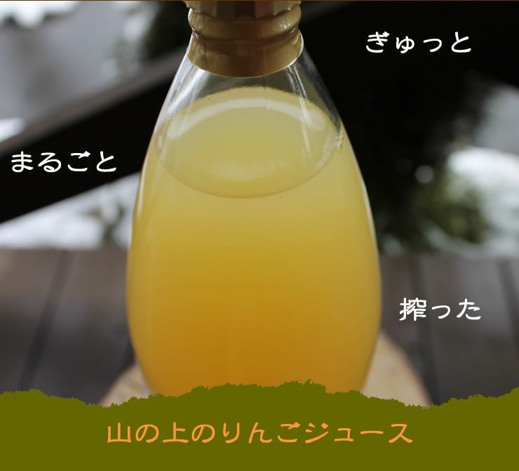 山の上のりんごじゅうす【すりおろし】1,000ml×2本りんごジュース