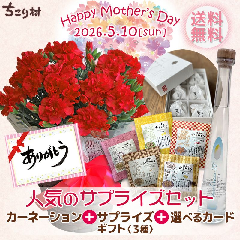 母の日ギフト カーネーション 5号鉢花＆選べるサプライズセット 送料