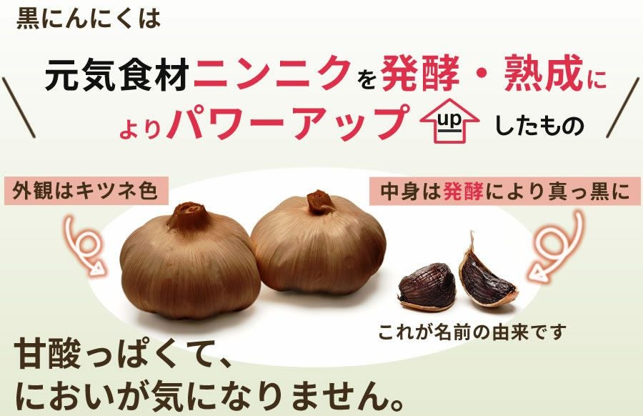 有機 黒にんにく お試しワンコイン(30g入×2袋）税込500円・初回限定・2
