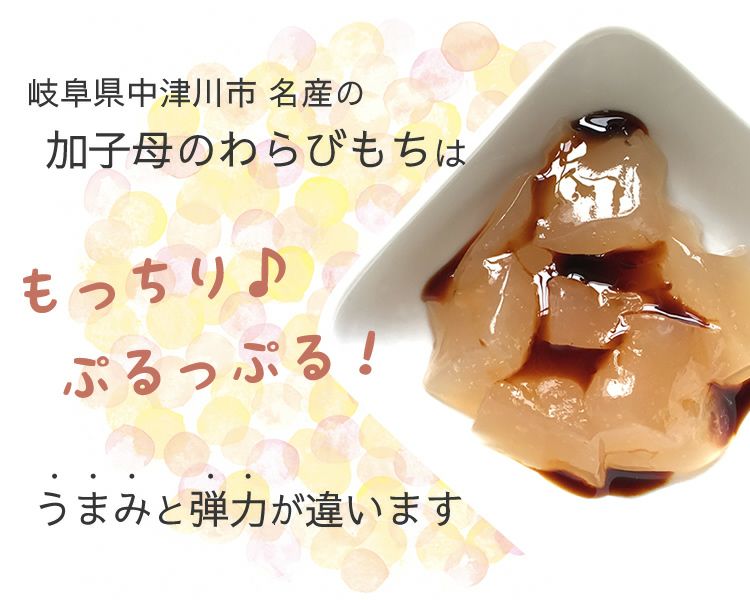 加子母 やまもとさんの わらび餅 | 岐阜・中津川 ちこり村 本店