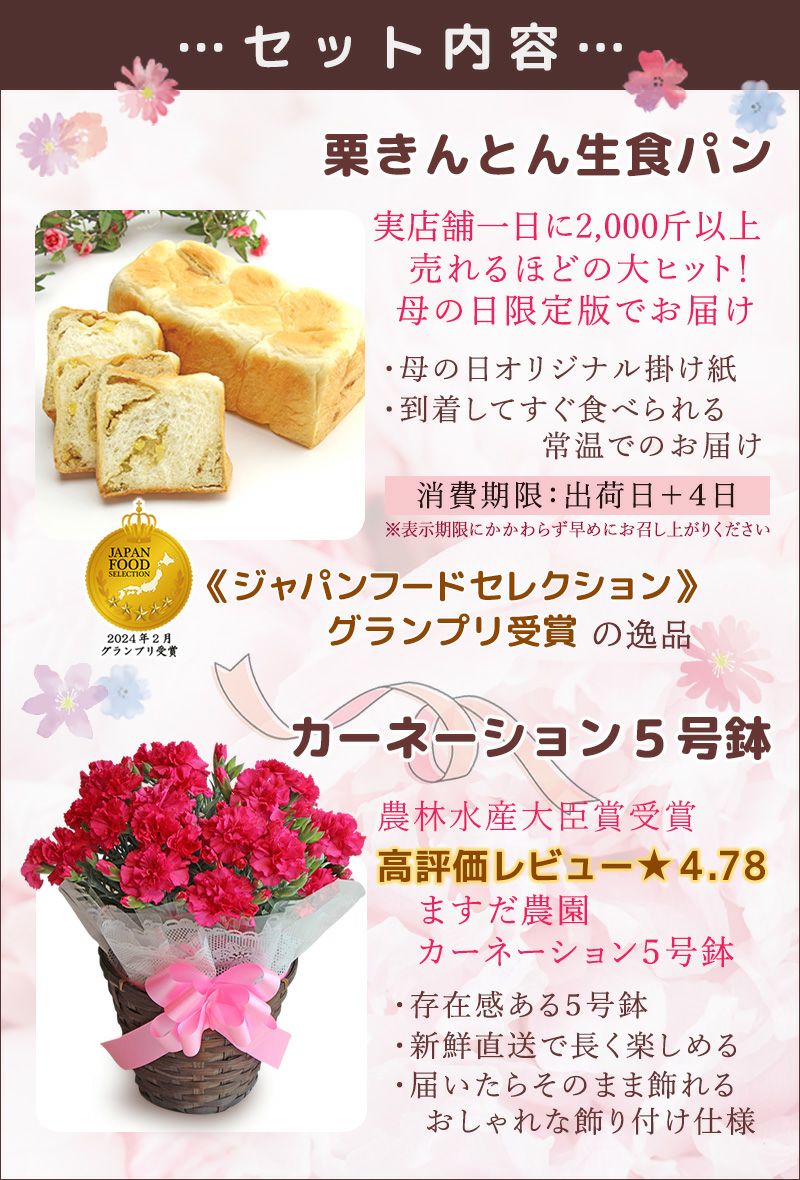 母の日ギフトカーネーション 5号鉢＆栗きんとん生食パン1斤送料無料