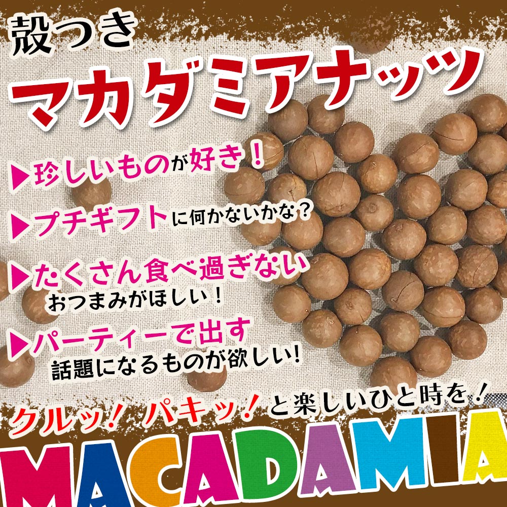 ガマ 2箱 おまとめ割 8〜10玉入り 初めての方にオススメ＞専用殻割り機（ クラッカー ) ＆殻付き
