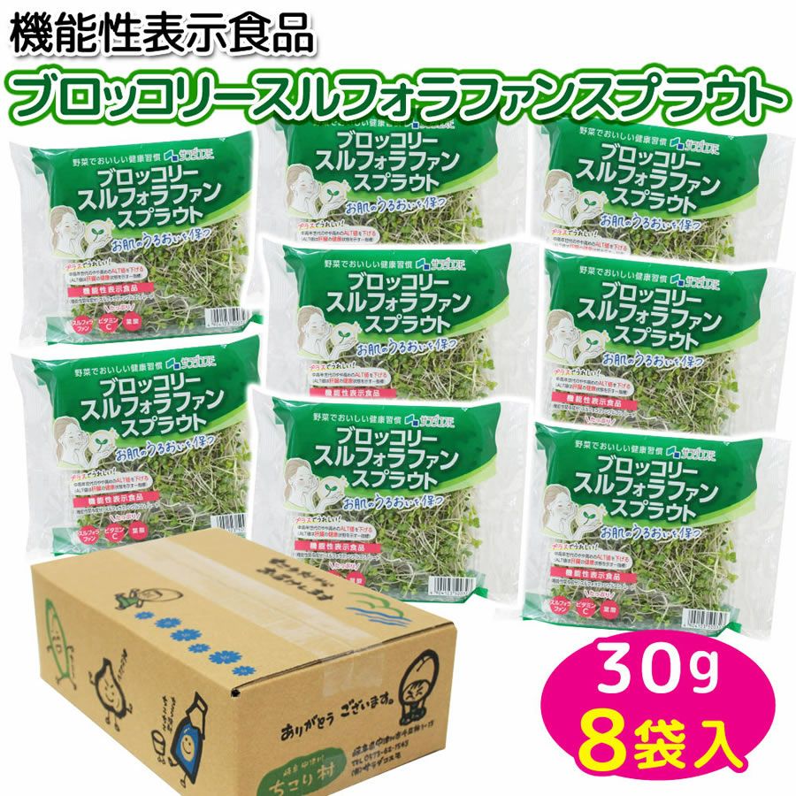 ブロッコリー スルフォラファン スプラウト 30g×8パック入 | 岐阜